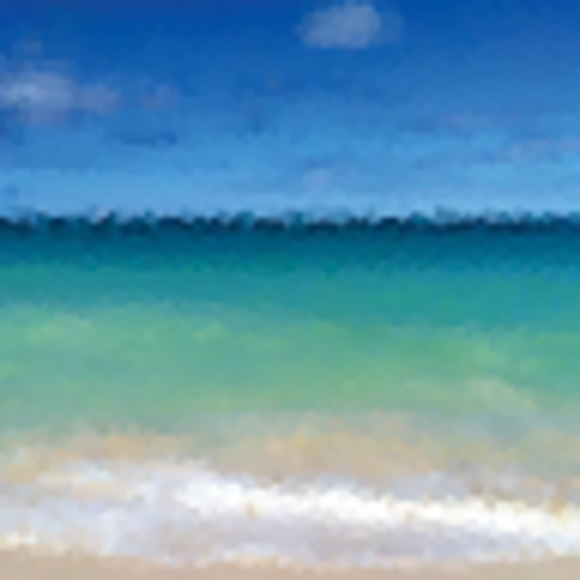 Meet your Posher, Craig - Picture 1 of 1